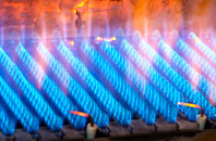 Cwm gas fired boilers